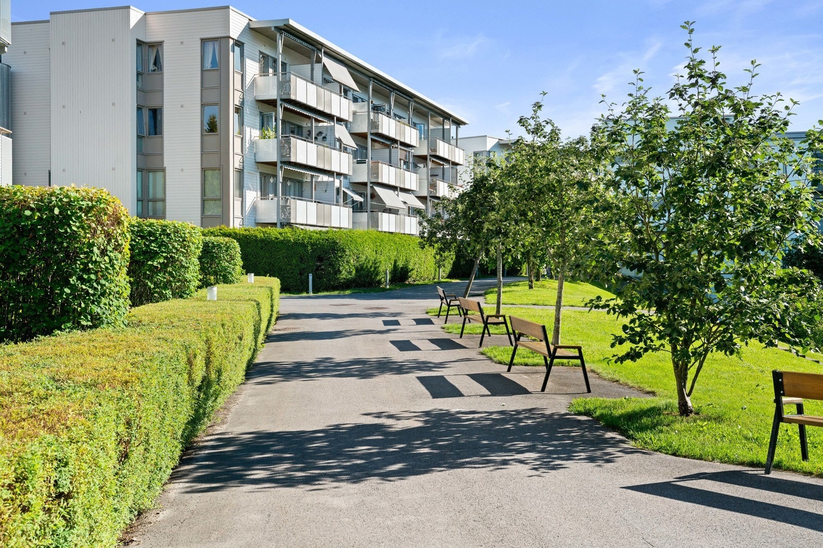 Fellesareal. Galleribilde