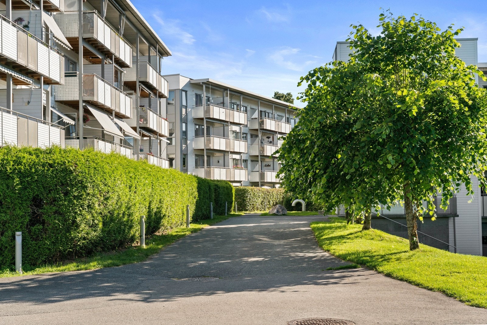 Fellesareal. Galleribilde