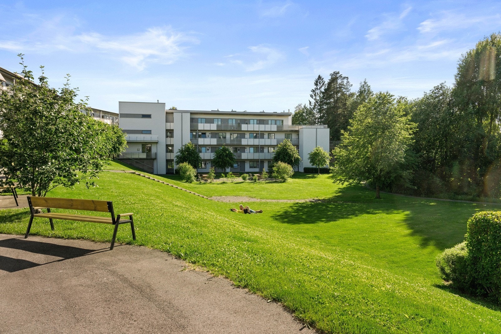 Fellesareal. Galleribilde