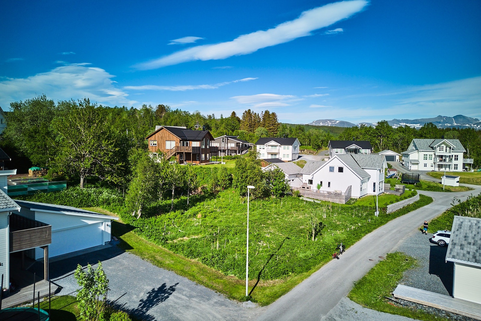 Haretråkket 6 Galleribilde