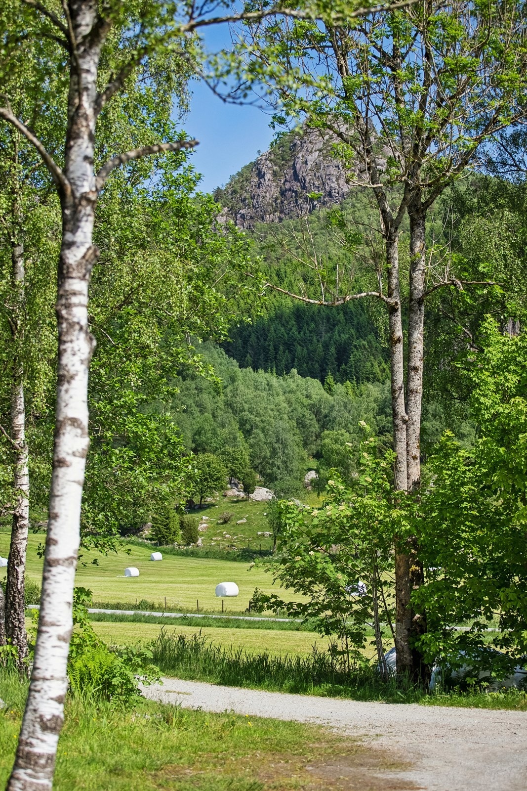 Landlige og idylliske omgivelser. Galleribilde