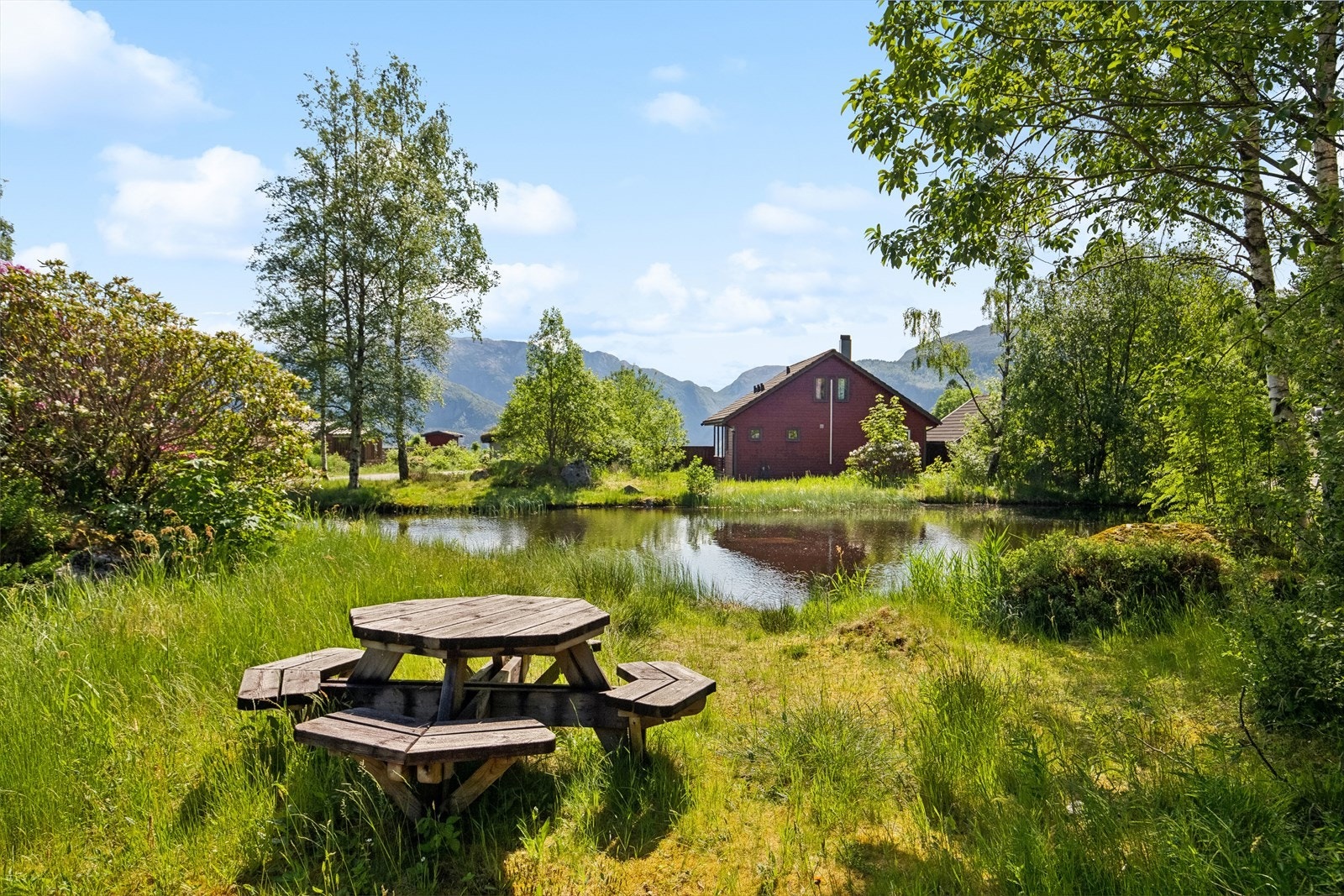 Hyggelig plass ved tjernet. Galleribilde