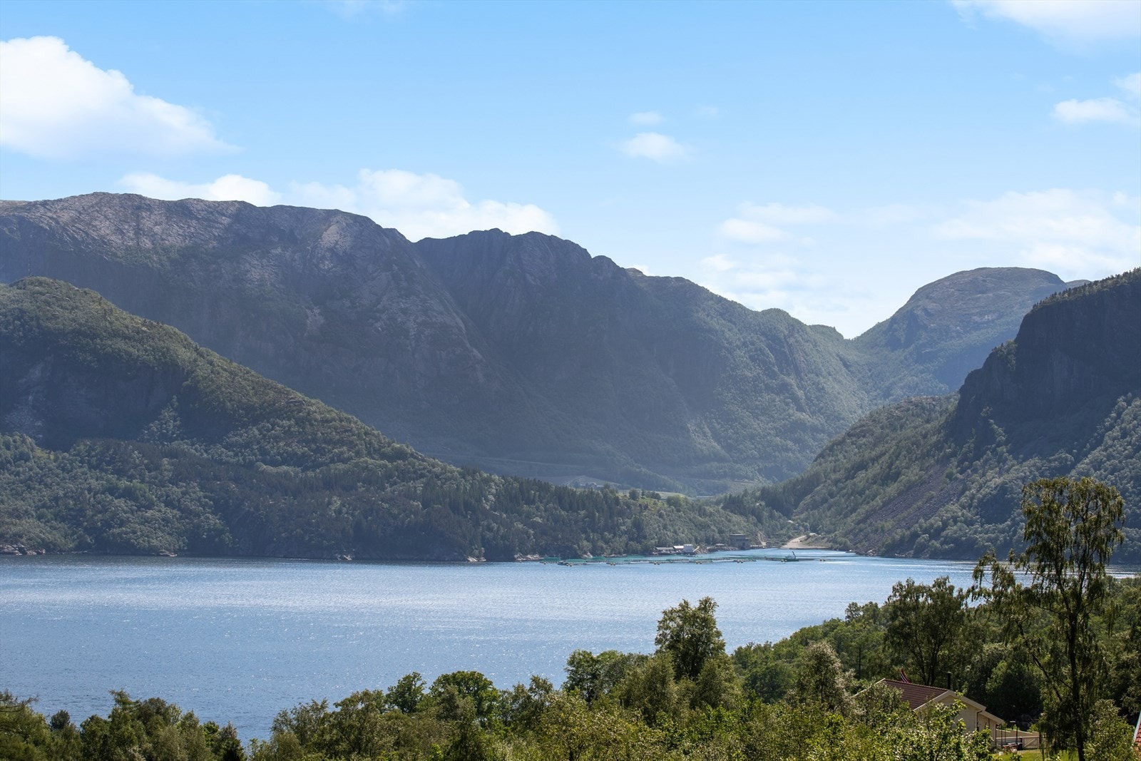 Majestetisk utsikt. Galleribilde