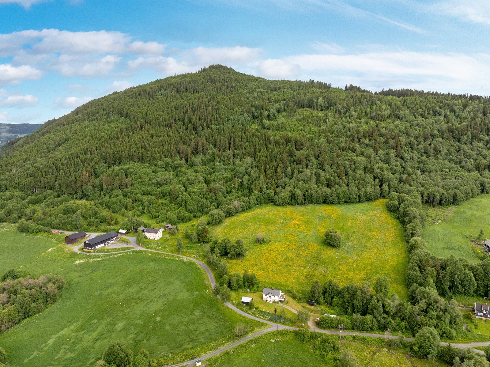 Flotte turmuligheter i nærområdet Galleribilde