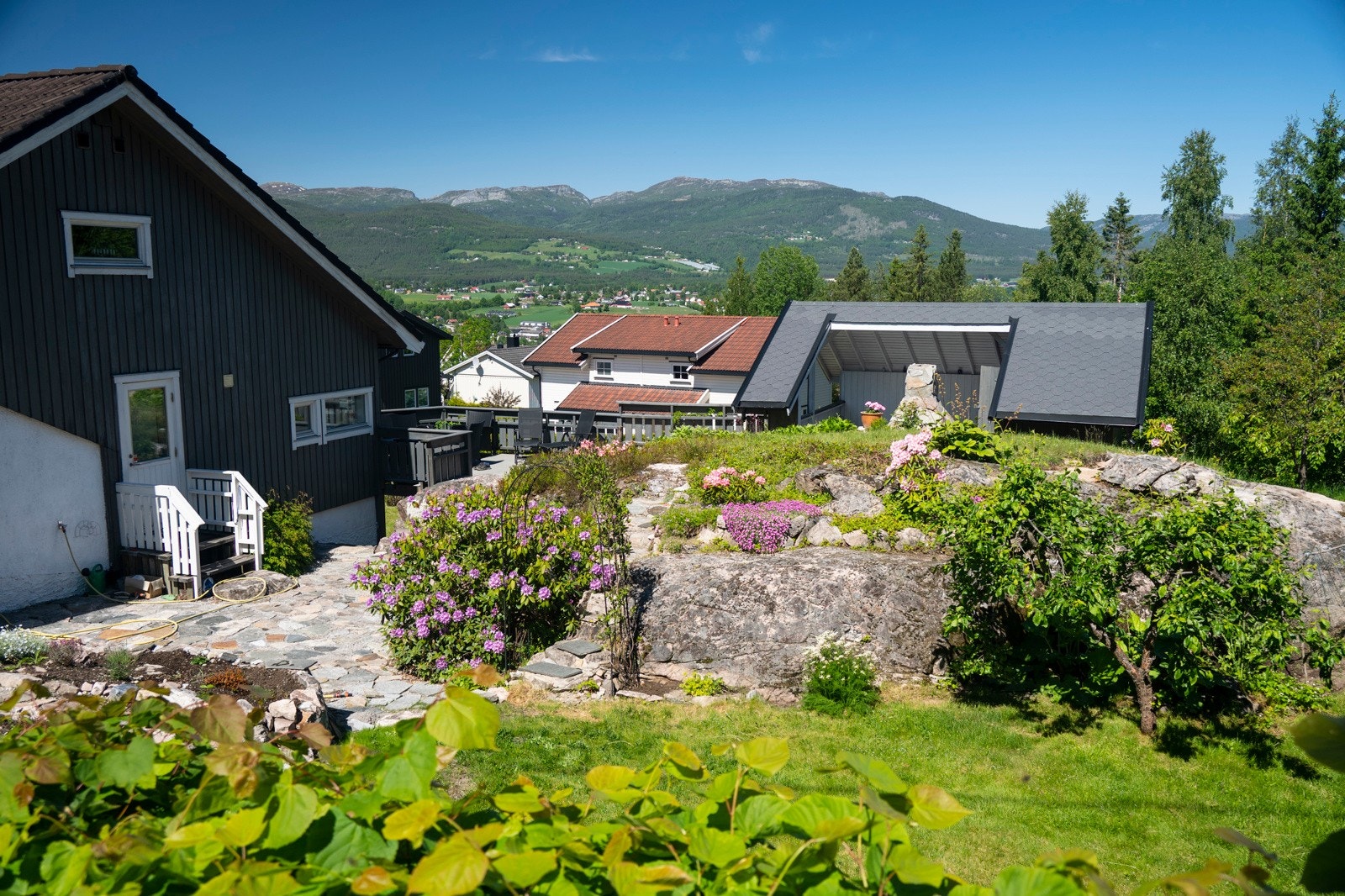Privat sommerbilde Galleribilde