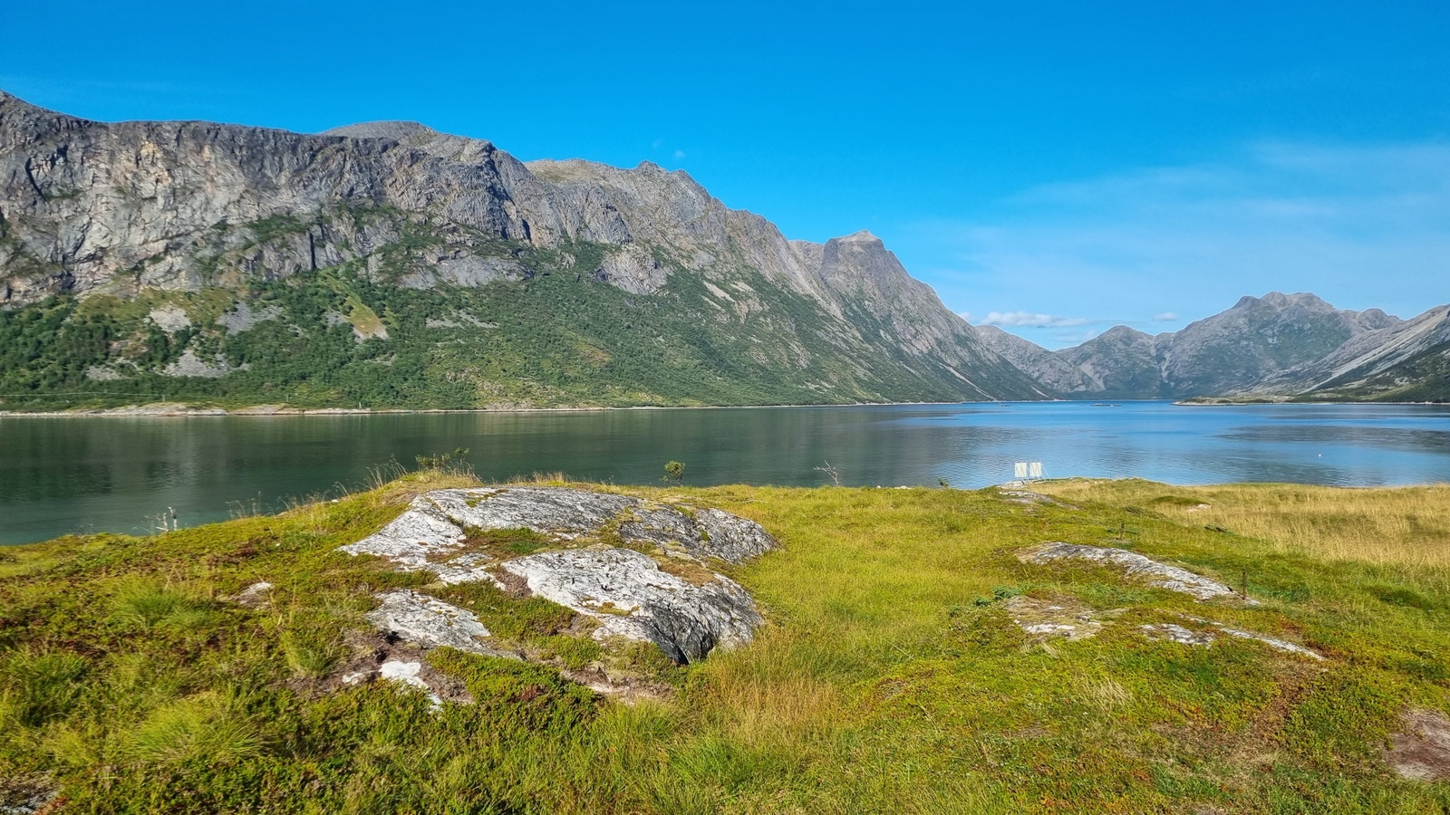 Står på Lomsneset med utsikt mot Indre Selfjord Galleribilde