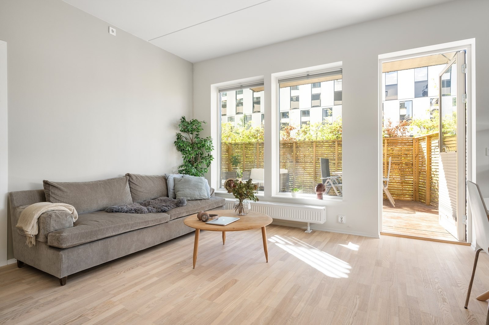 Legg merke til de store vindusoverflatene. Galleribilde