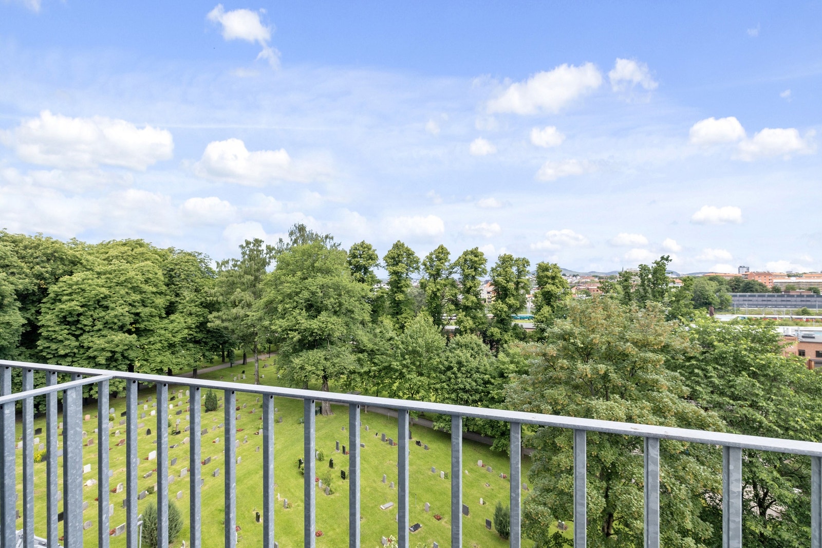 Grønn og stille utsikt Galleribilde