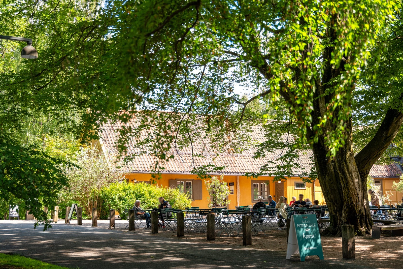 Botanisk hage ligger bokstavelig talt rett utenfor boligen med nydelige turområder og populære Handwerk Kafé Galleribilde