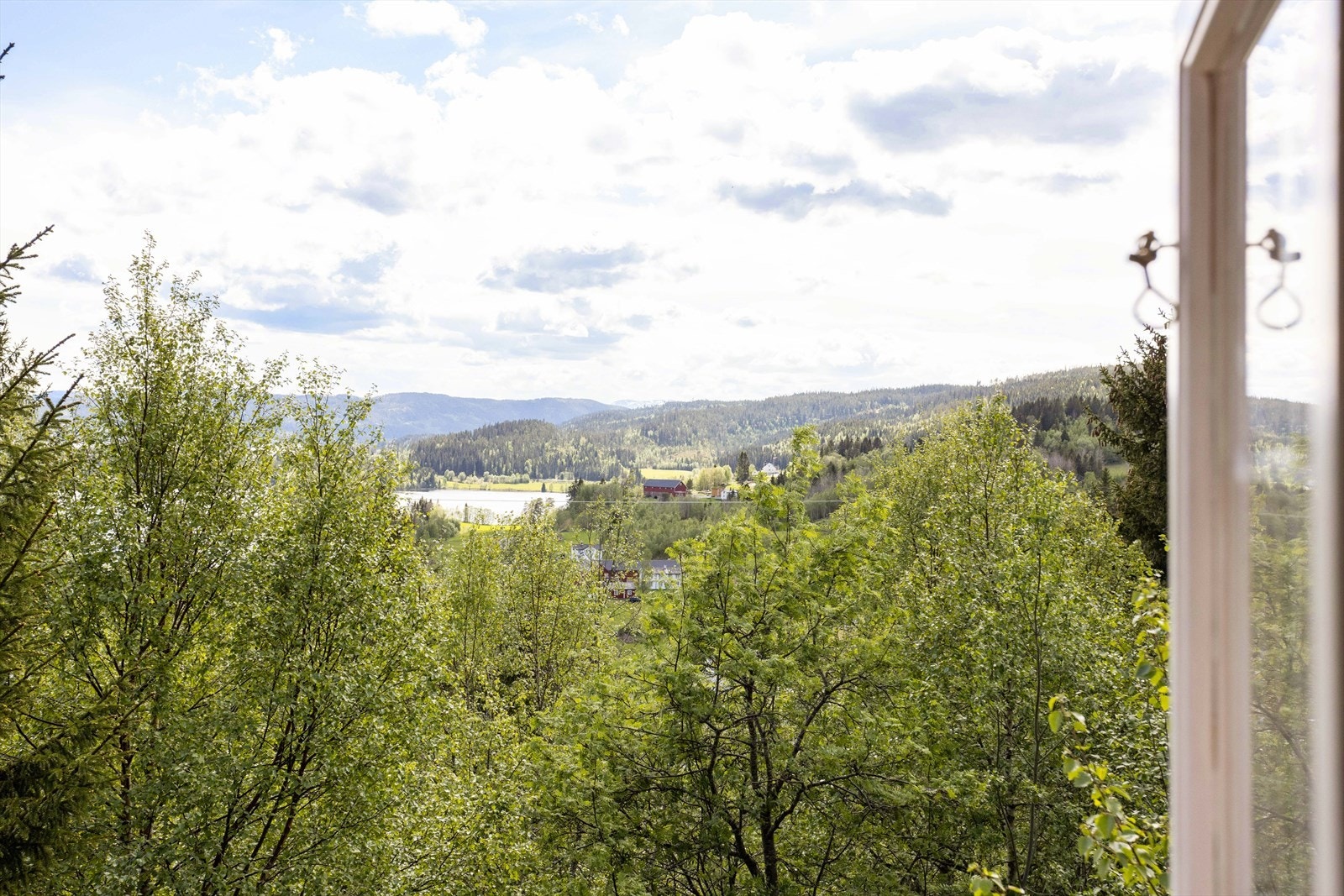 Fantastisk utsikt. Galleribilde