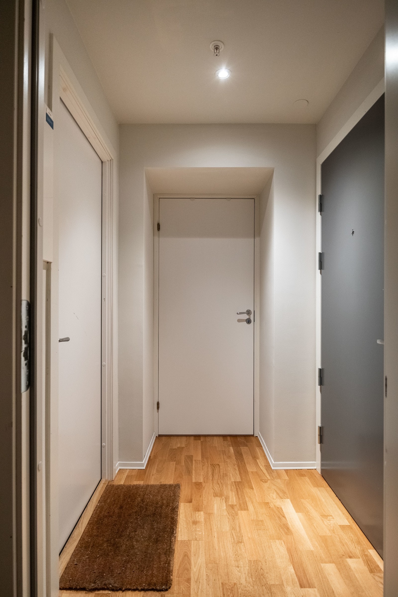 Felles gang med hovedleilighet. Galleribilde