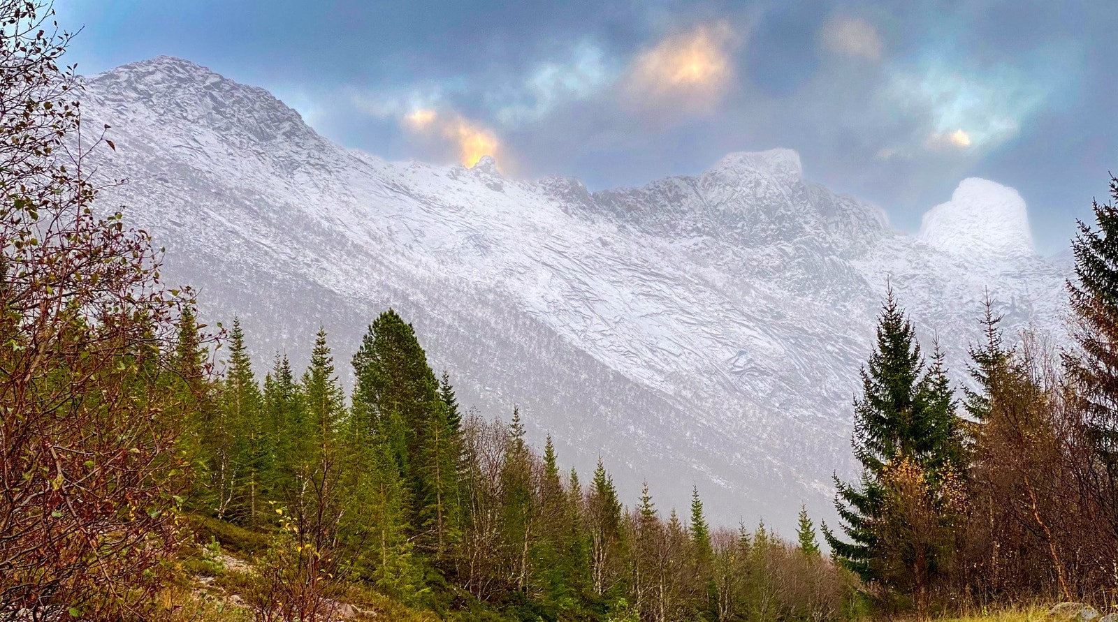I Roksøydalen har du naturen tett på Galleribilde