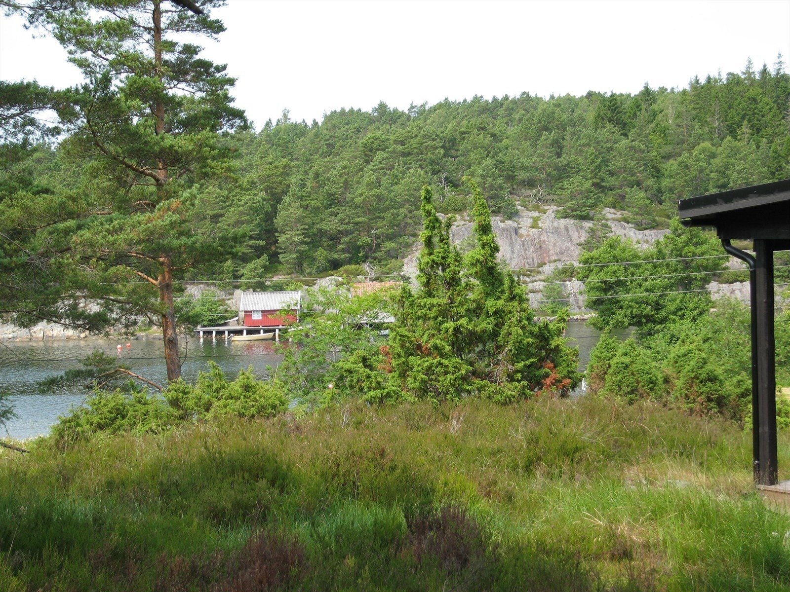 Utsikt fra tomta Galleribilde