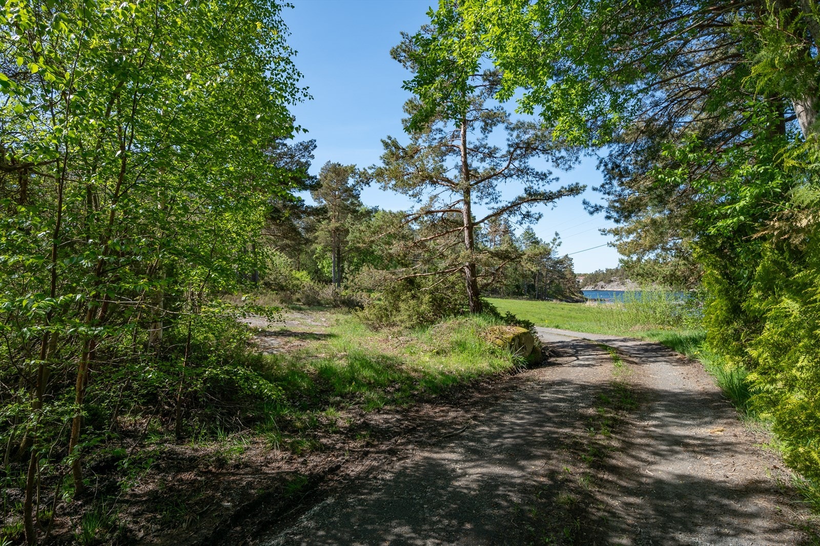 Parkering rett ved hytta Galleribilde