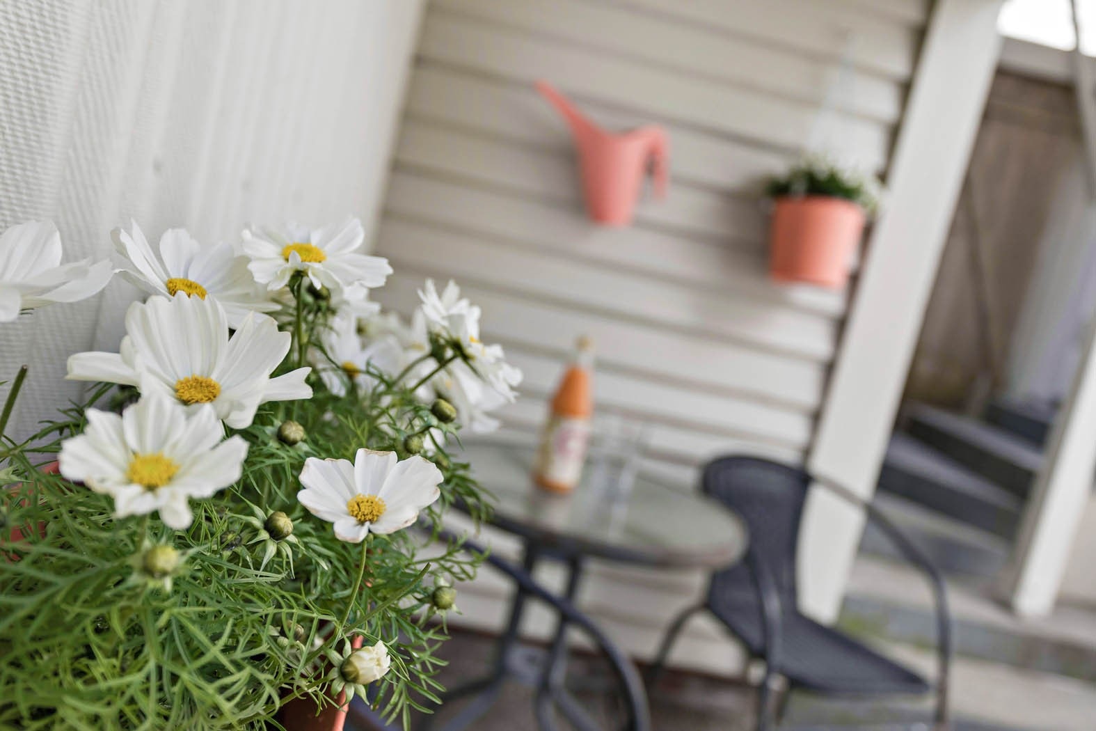 Uteplass Galleribilde