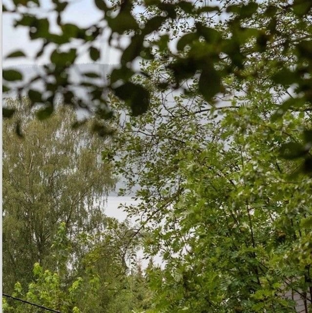 Utsikt mot Mjøsa Galleribilde