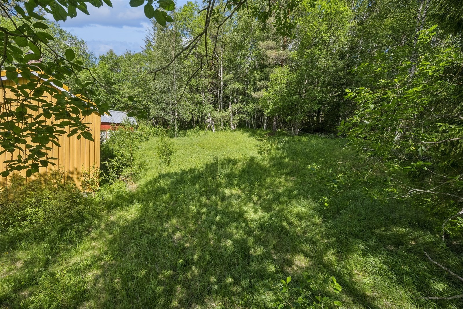 Fra hage bakside. Galleribilde