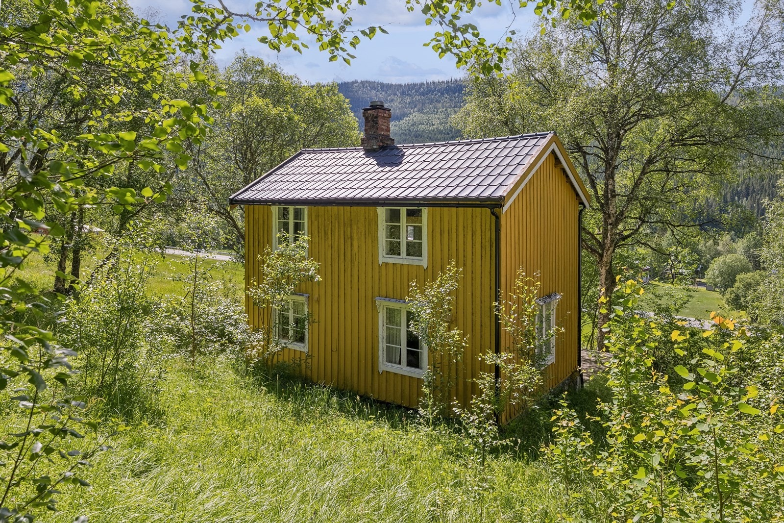 Fra eiendommen er det kort vei ned til lakseelva Gaula. Galleribilde
