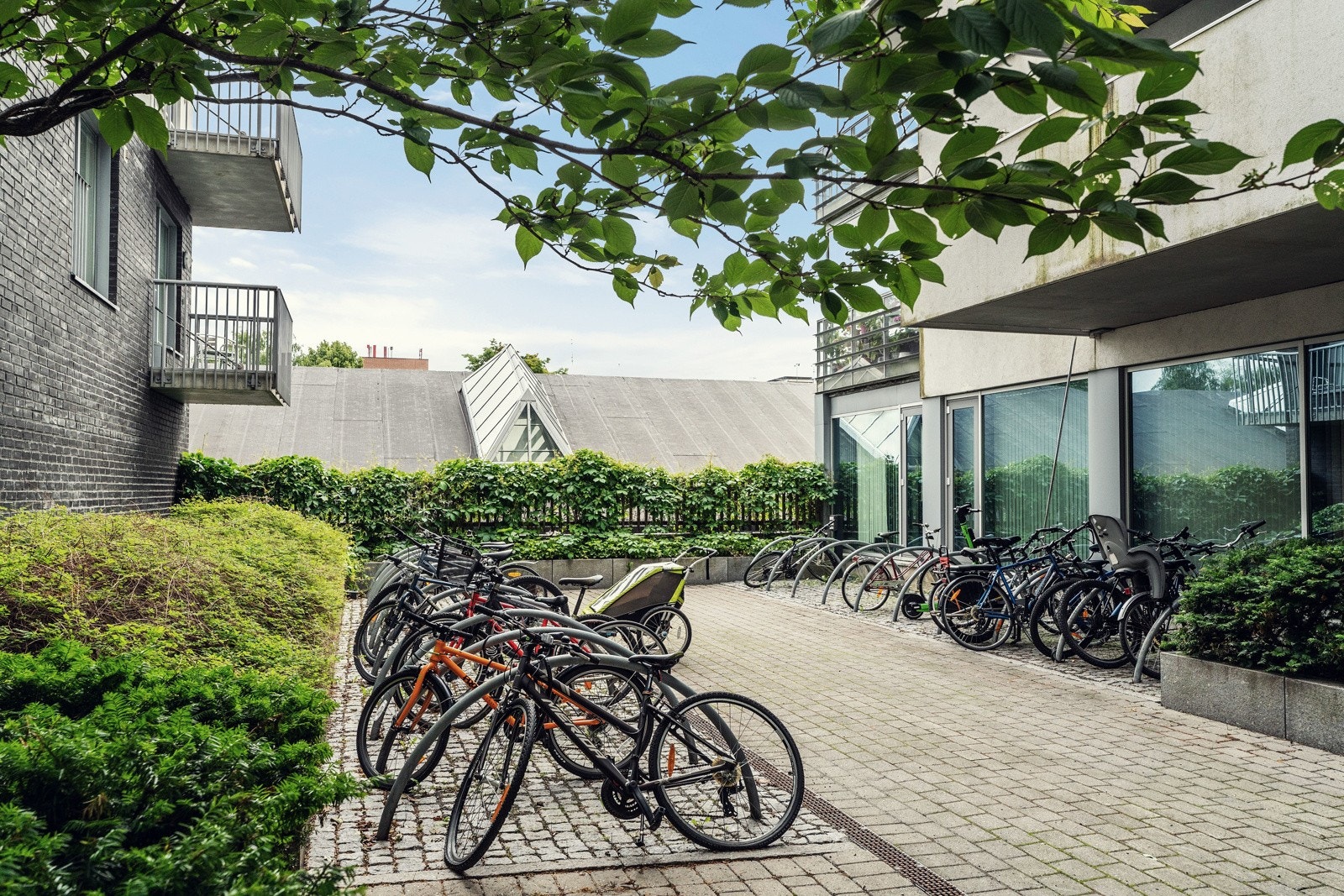 Nærmiljø 3 Galleribilde