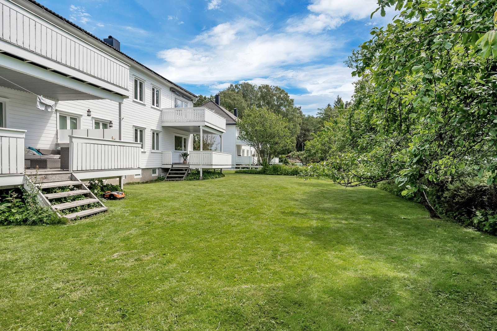 Stor felles hage med plen og beplantning Galleribilde