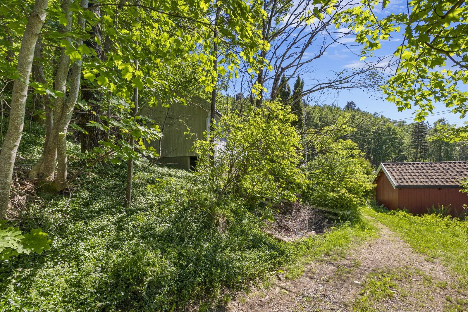 Adkomst til eiendommen. Galleribilde