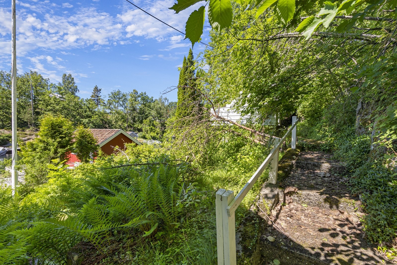 Enkel hage. Galleribilde