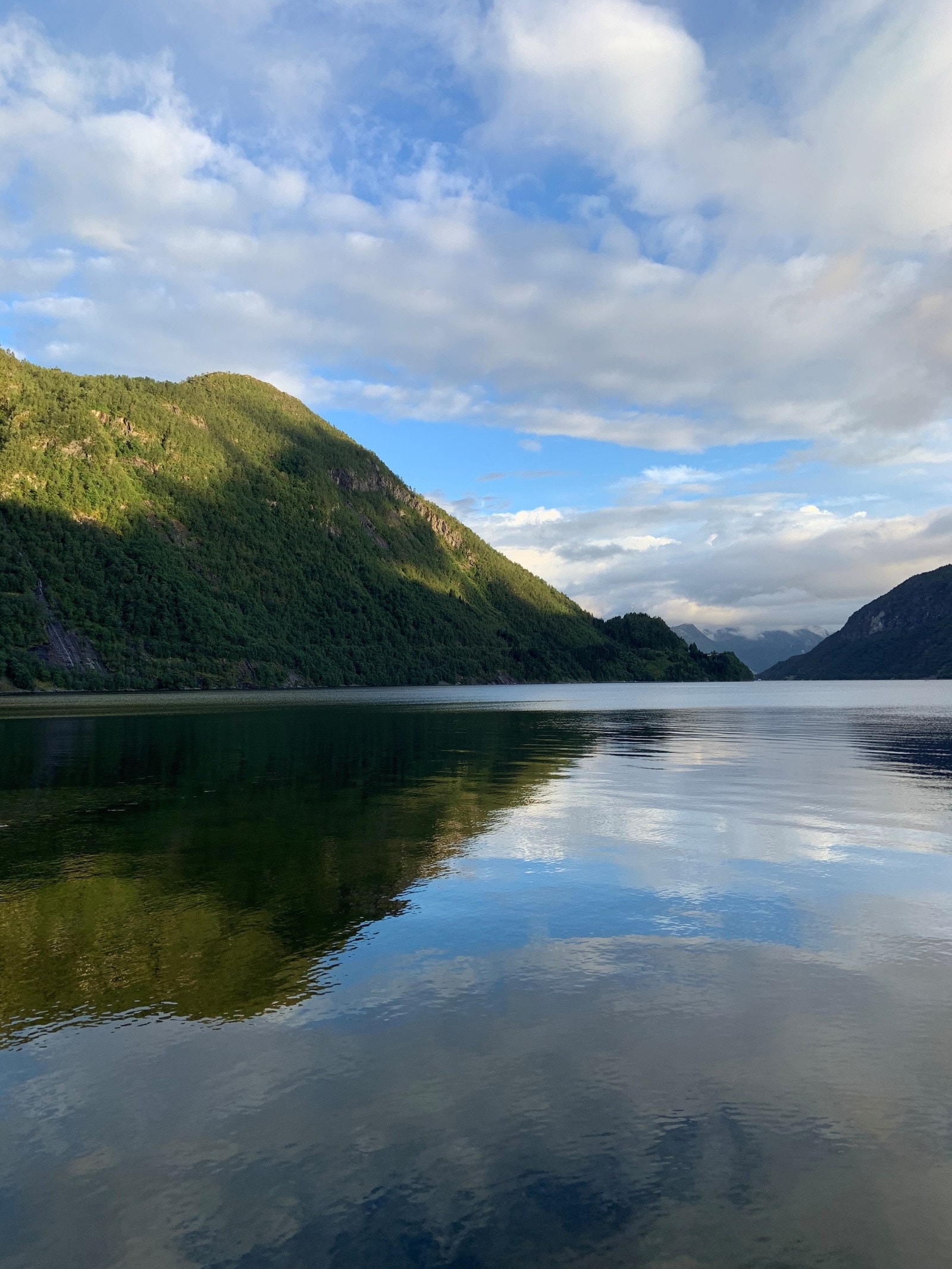 Nærområdet - Vadheimsfjorden Galleribilde