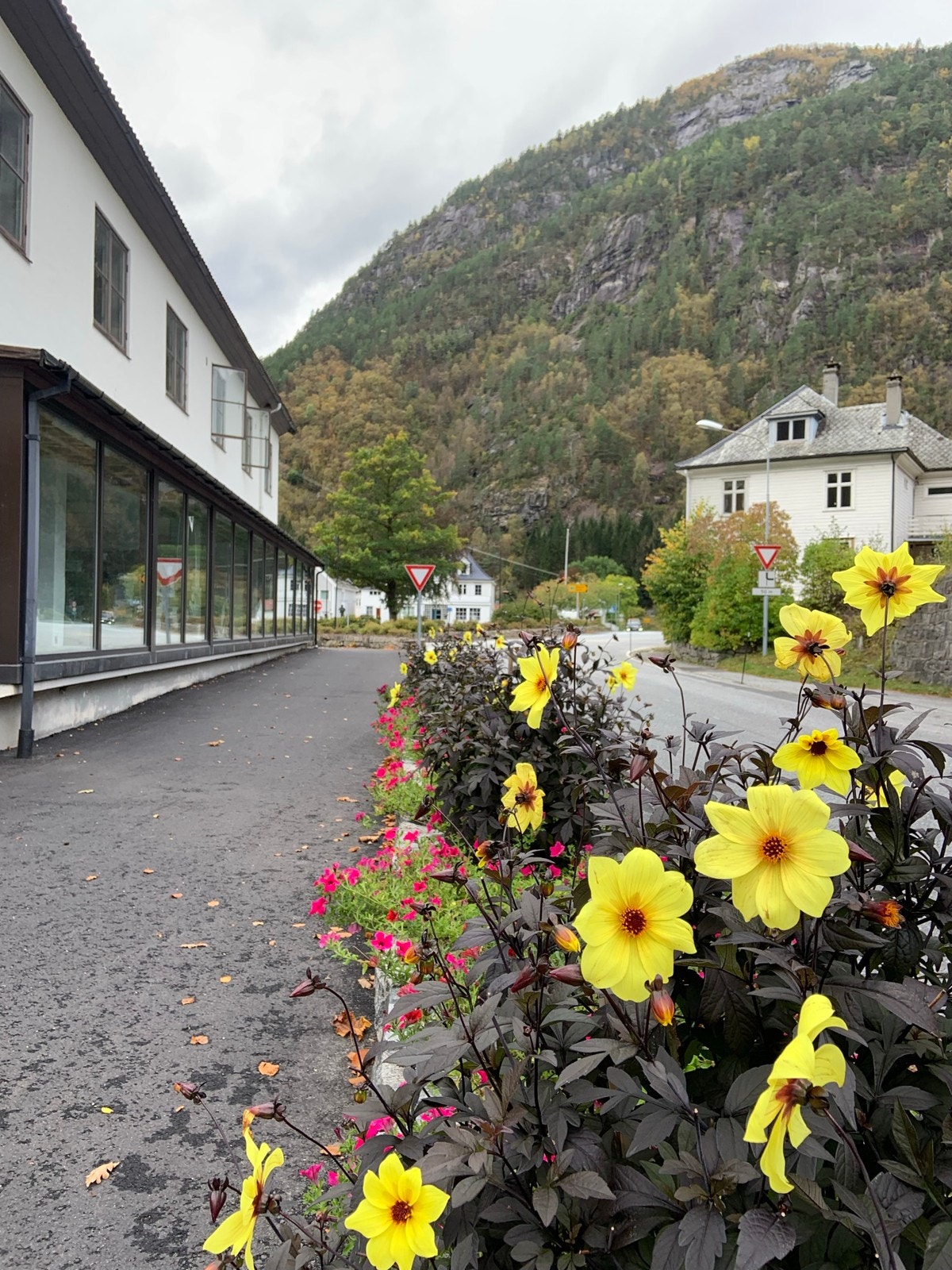Vadheim sentrum ligger kun en kort spasertur unna - her finner en bla. butikker, kafè, hotell og bryggeri Galleribilde