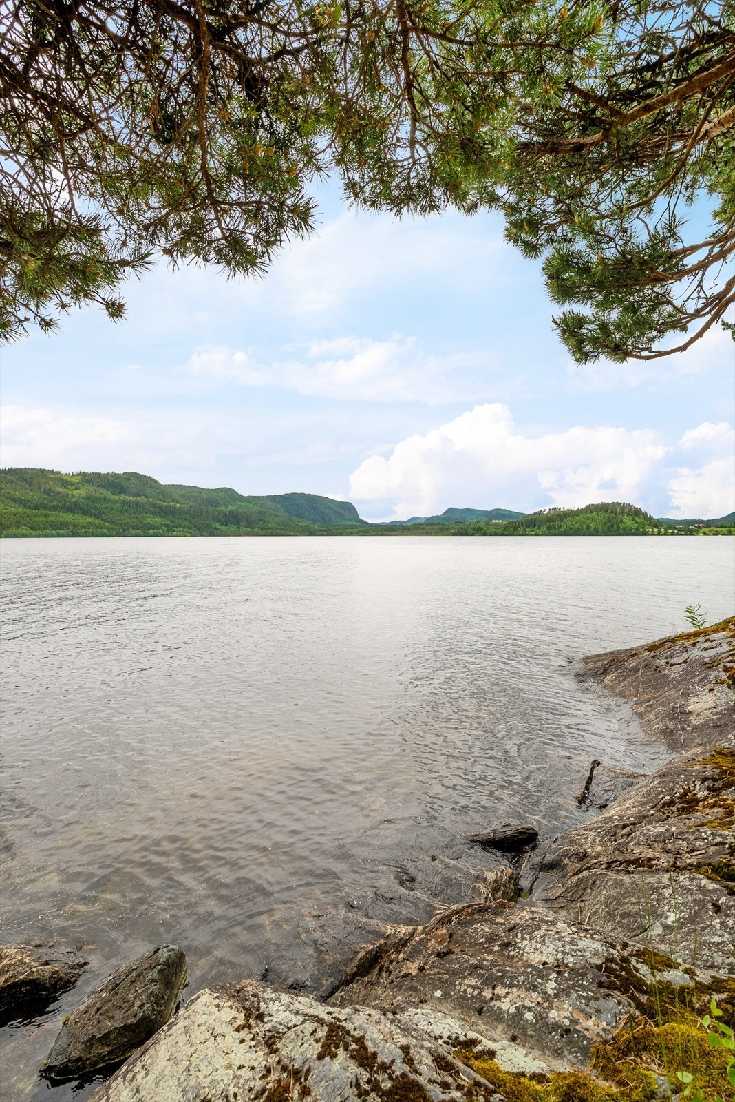 I tillegg er det kun 20 minutter til Tillerbyen om man ønsker flere servicetilbud Galleribilde