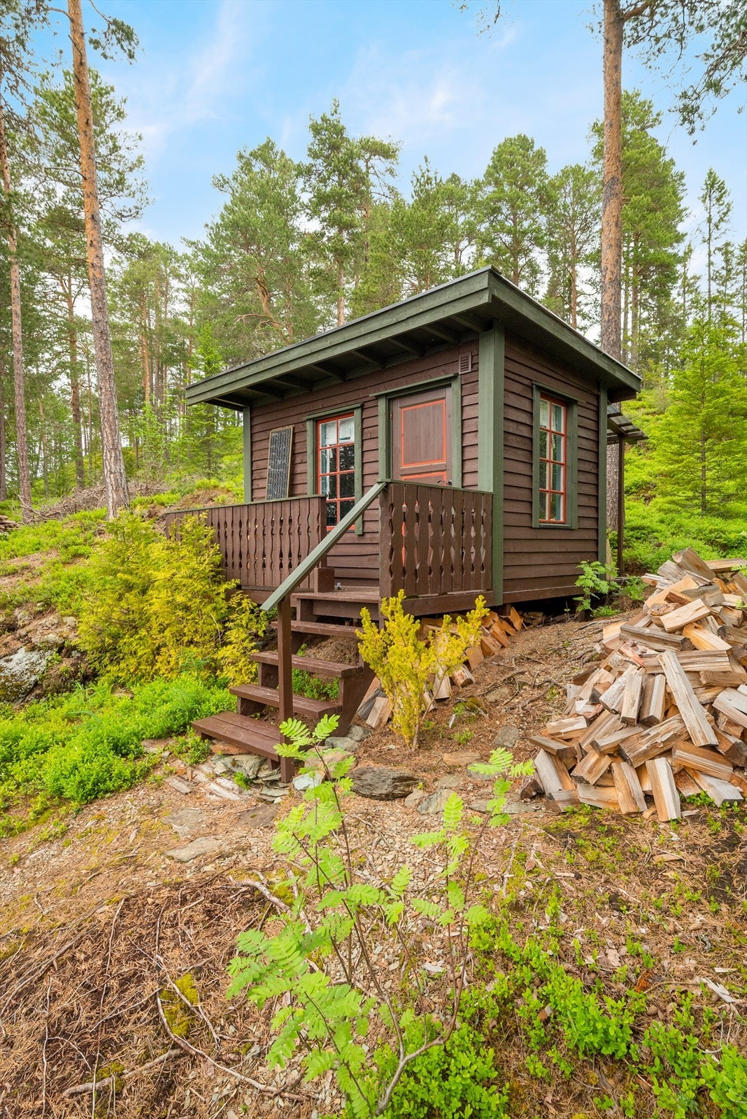 Her er det rikelig med boltringsplass for både store og små! Galleribilde