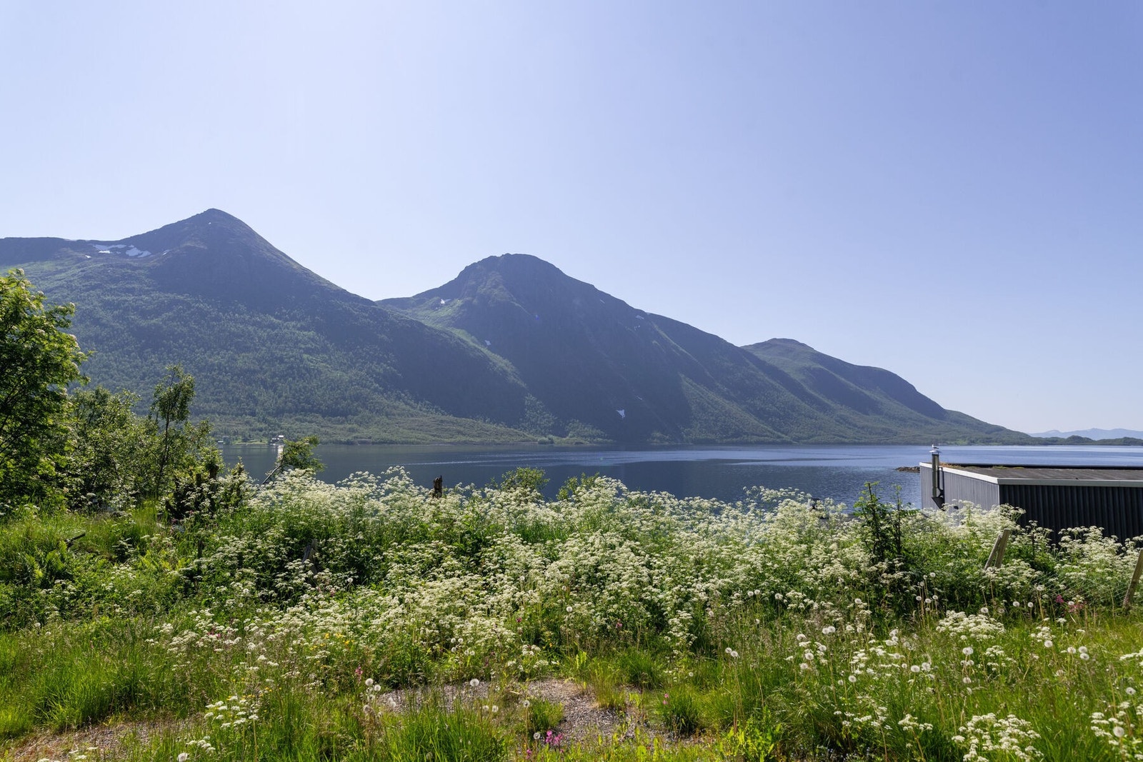 Nygård - Hagen i Sigerfjord - En sjønær utsiktstomt i vakre Sigerfjord. Foto: Lunde Images AS Galleribilde