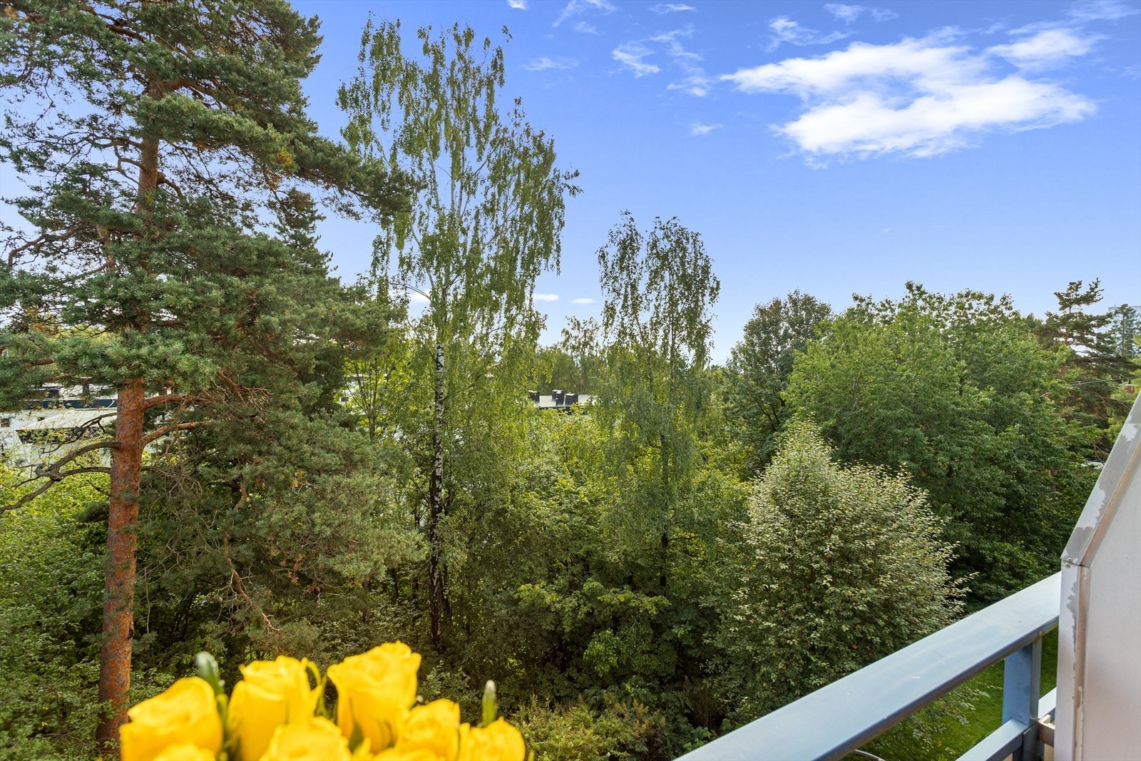 Her nede går det skiløyper om vinteren Galleribilde