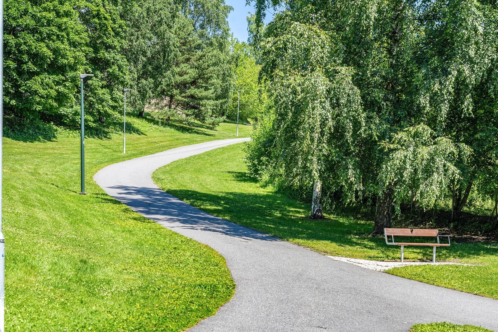 Gangstien tar deg hele veien opp til Grefsenkollen Galleribilde