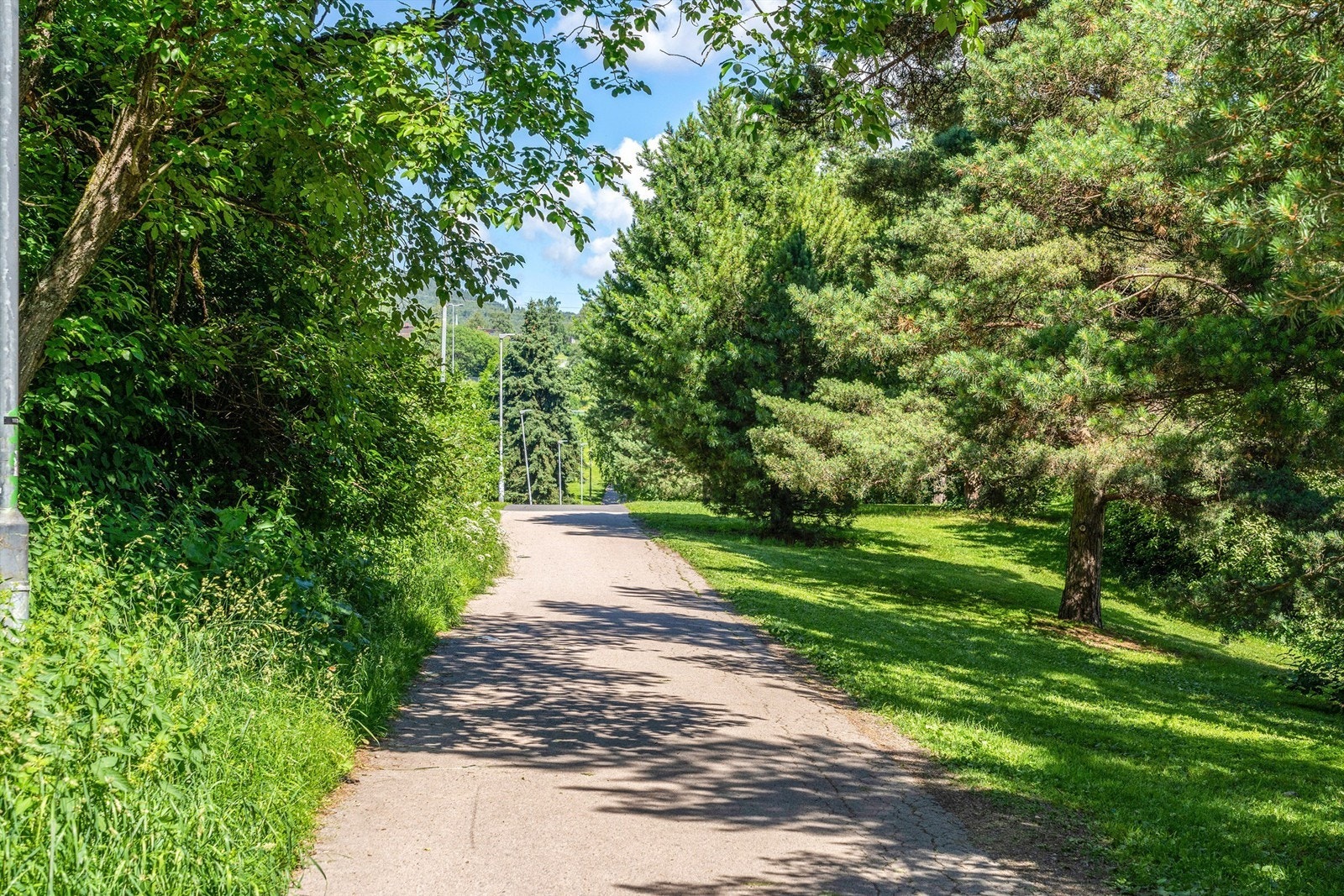 Flere flotte turområder i nærheten Galleribilde
