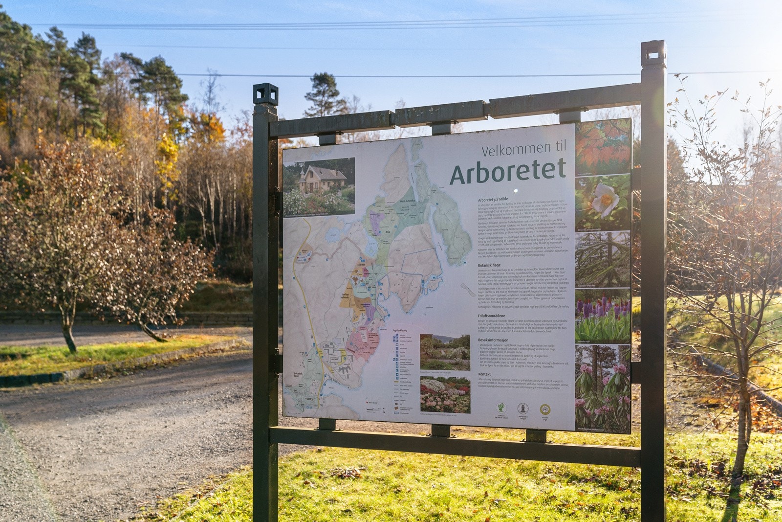 Arboretet Galleribilde