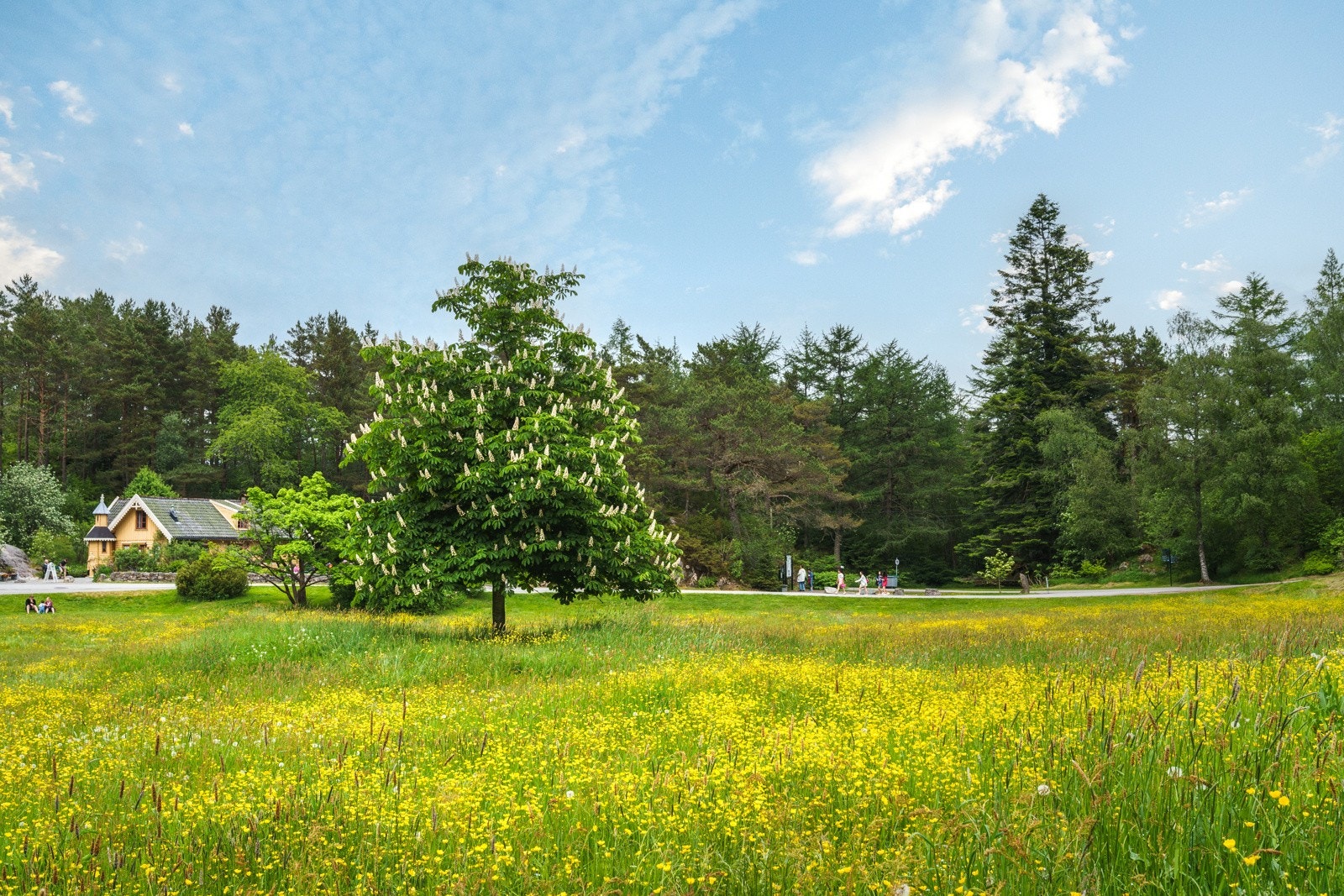 Flotte parkområder i nærområdet Galleribilde