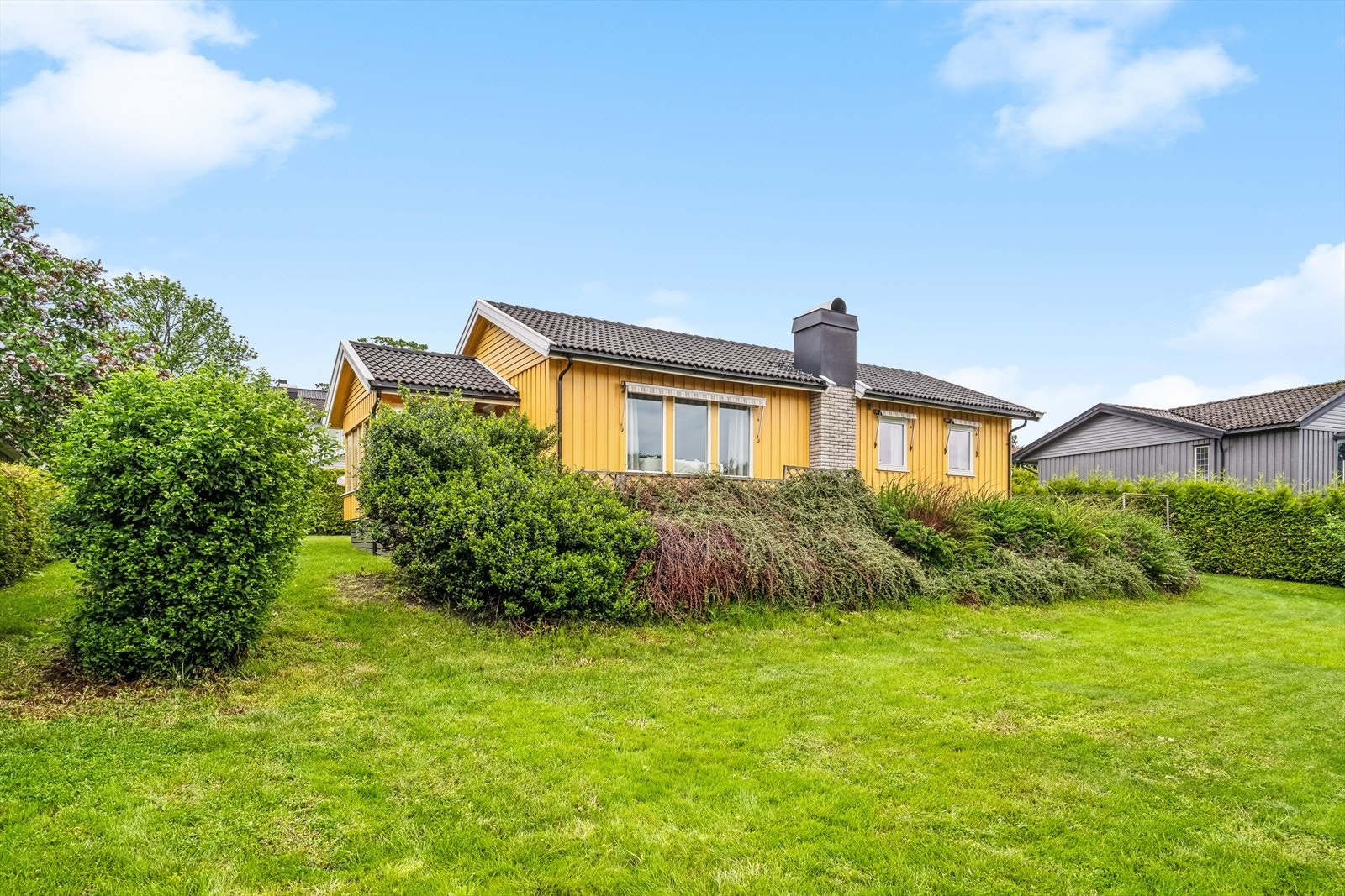 Velstelt hage med vintergrønn hekk mot naboene, flere typer prydbusker og bær som bjørnebær og solbær. Galleribilde