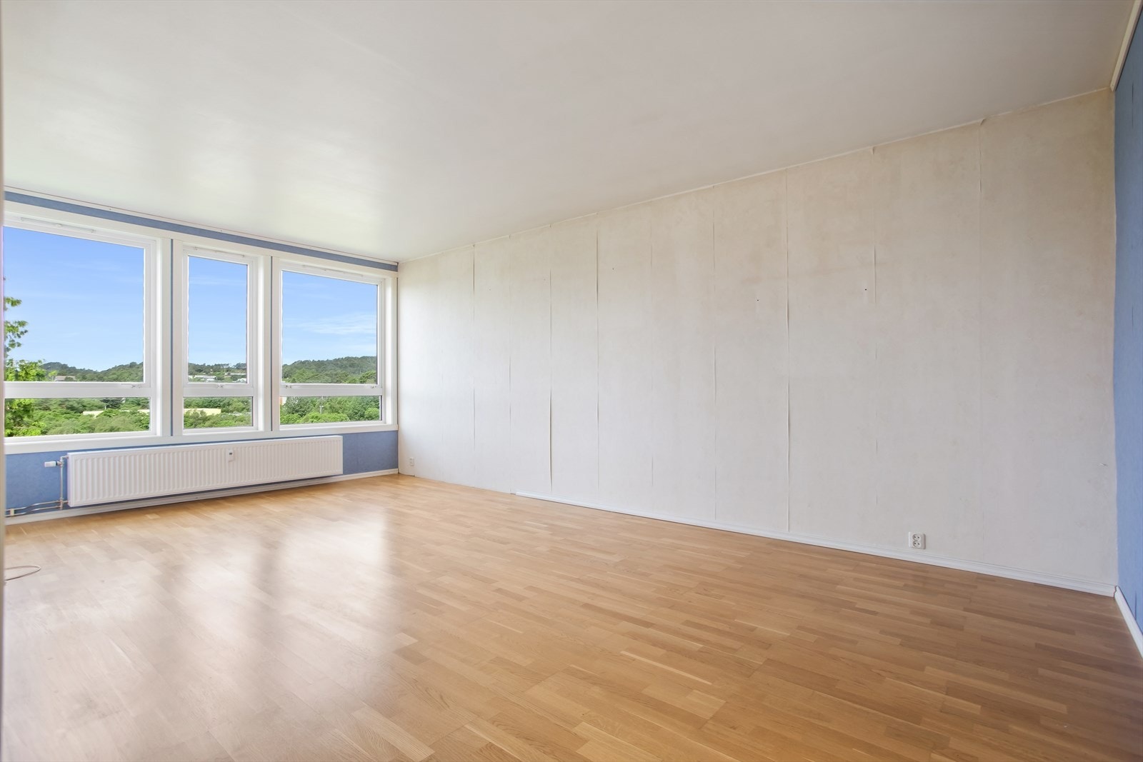 Romslig stue med rikelig lysinnslip. Radiator. Galleribilde