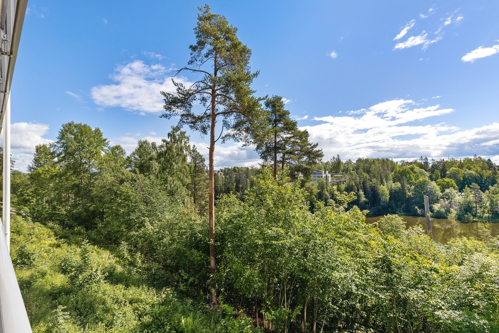 Usjenert balkong med utsikt mot nærområdet Galleribilde
