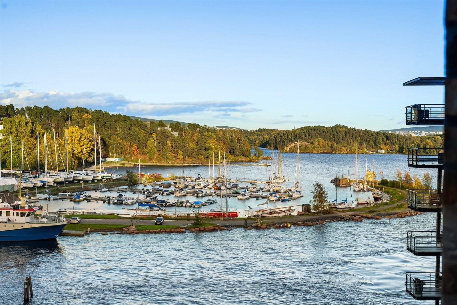 Utsyn fra utenfor vindu i vinterhagen Galleribilde