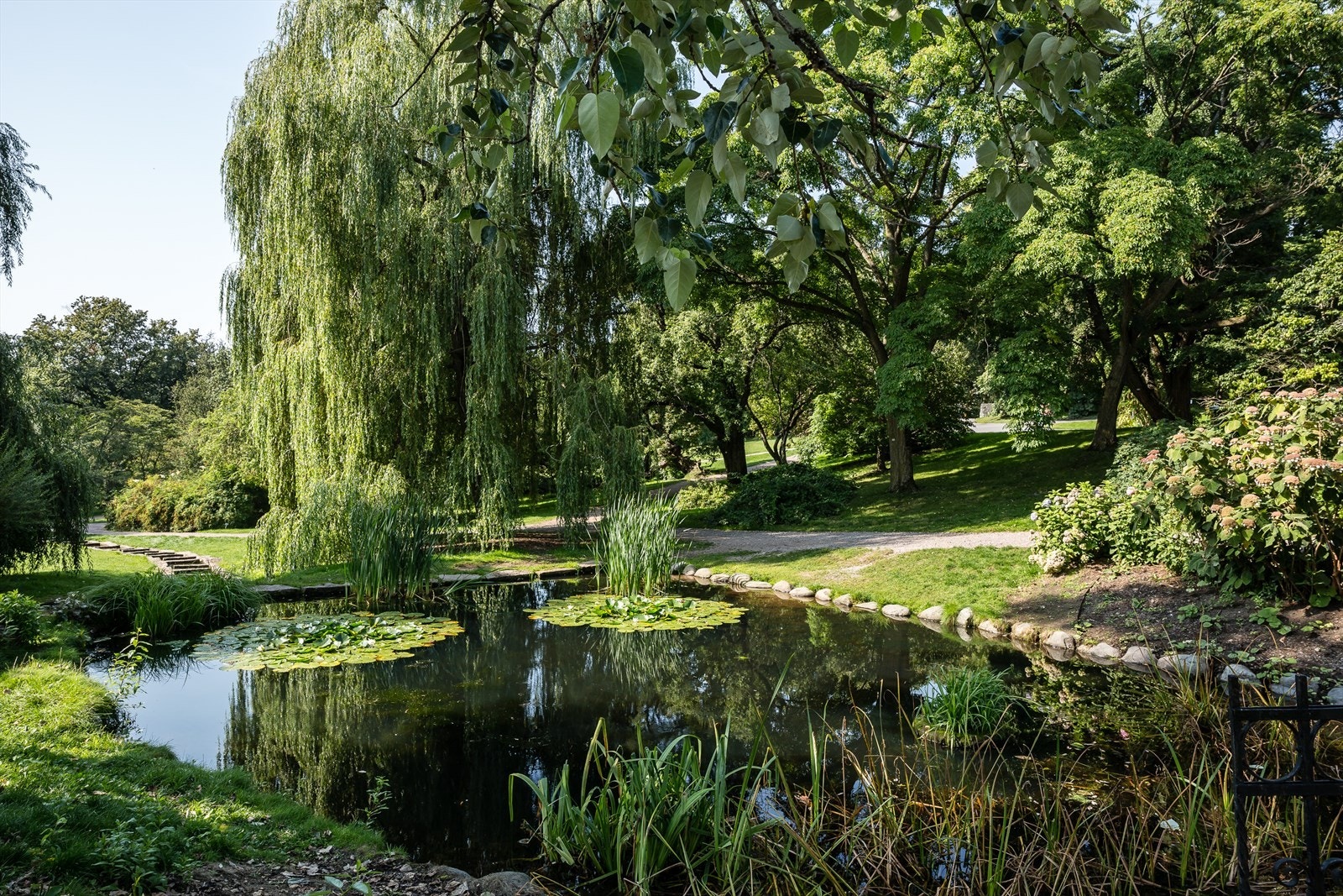 Vakre Botanisk hage som er en nydelig grønn oase på hele 150 mål ligger i umiddelbar nærhet til leiligheten. Her legger du joggeturen, eller en rolig søndagstur hvor du kan oppleve et rikt mangfold av planter for delt på 8500 arter fra hele verden Galleribilde