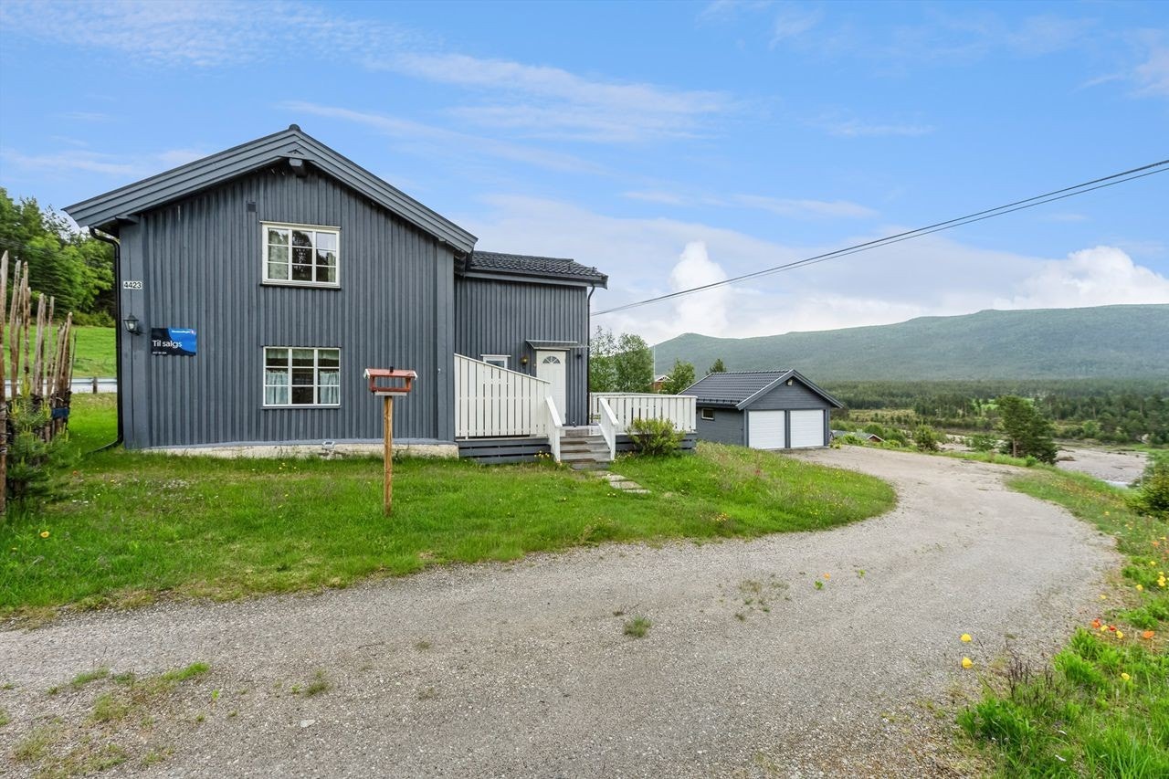 Velkommen til Folldalsvegen 4423! Galleribilde