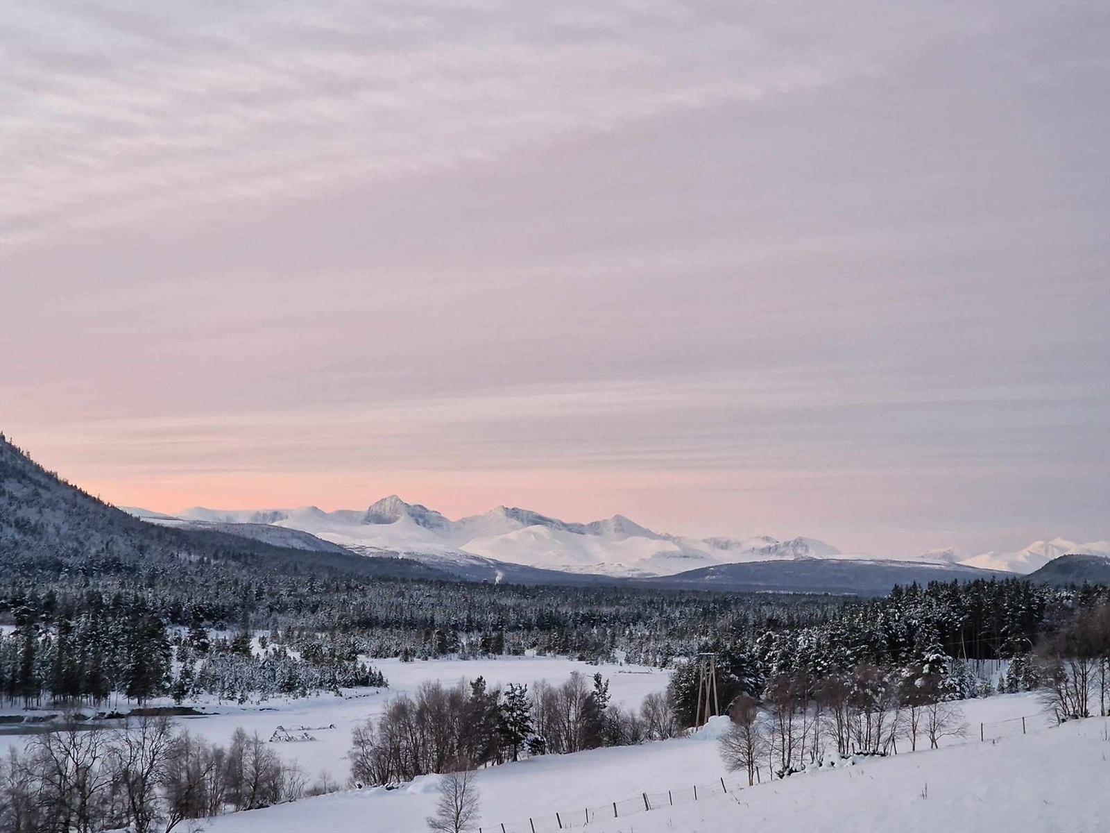 Selgers foto Galleribilde