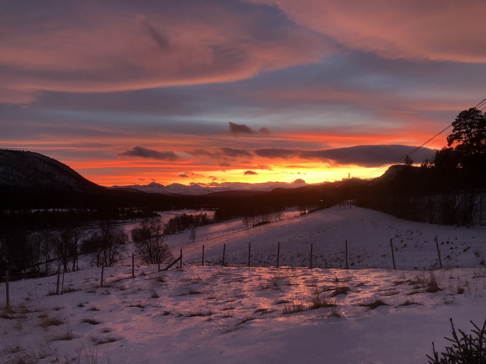 Selgers foto Galleribilde