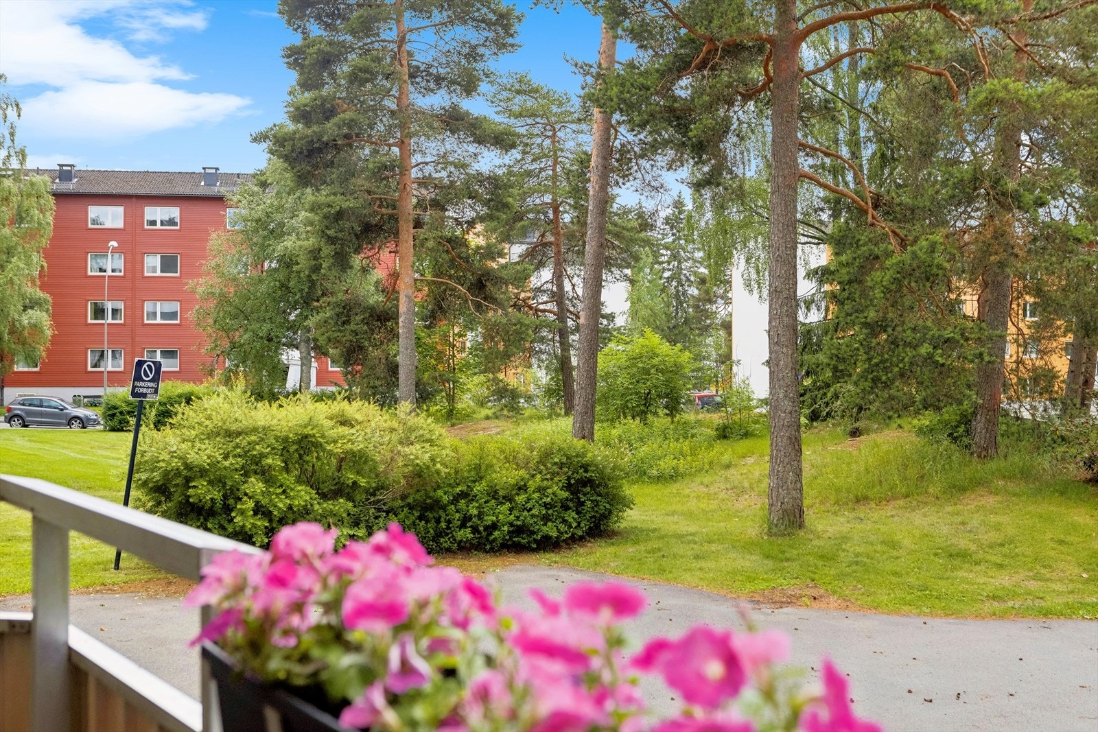 Her kan du slappe av og nyte de lange sommerkveldene. Galleribilde