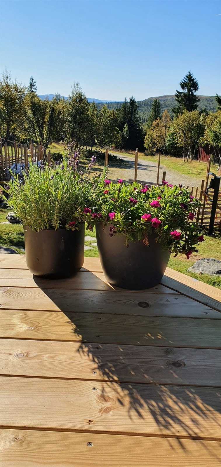 Stemningsbilde tatt av selger. Galleribilde