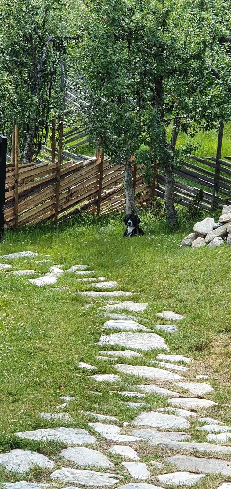 Stemningsbilde tatt av selger. Galleribilde