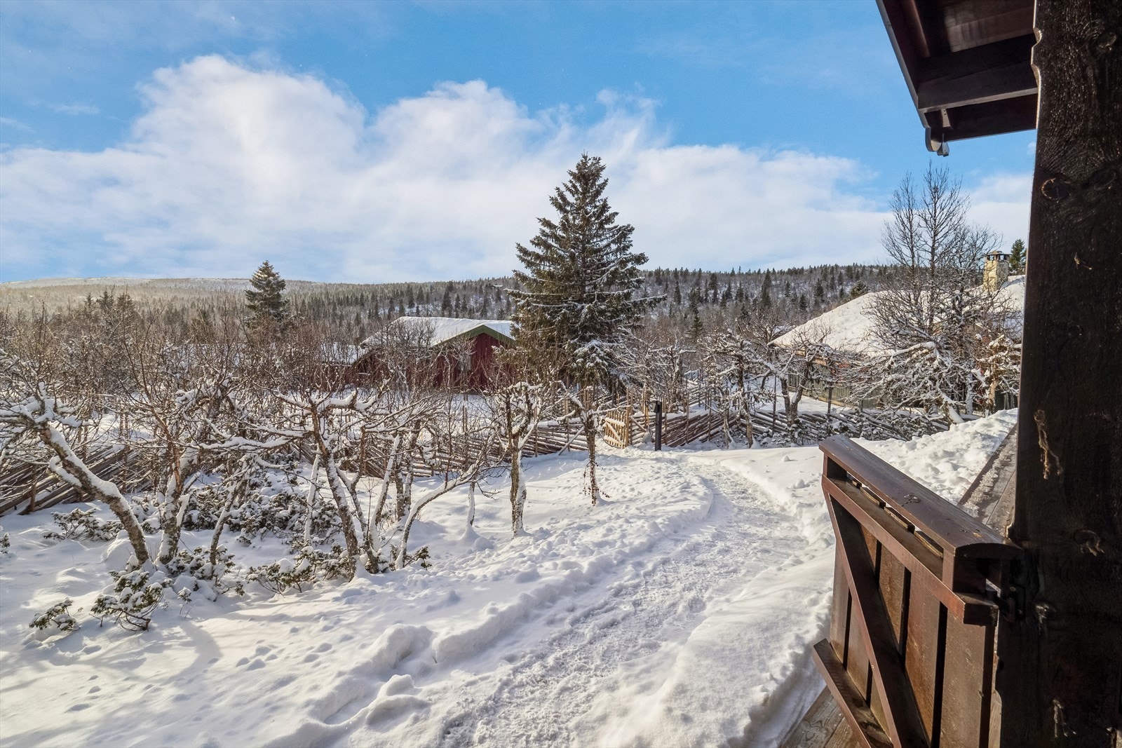 Utsikt fra eiendommen. Galleribilde