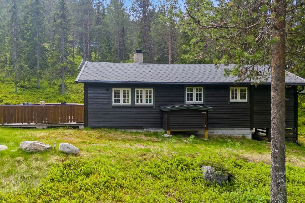 Her er det bare å sette på seg turskoene og rusle avgårde ut i skogen. Galleribilde