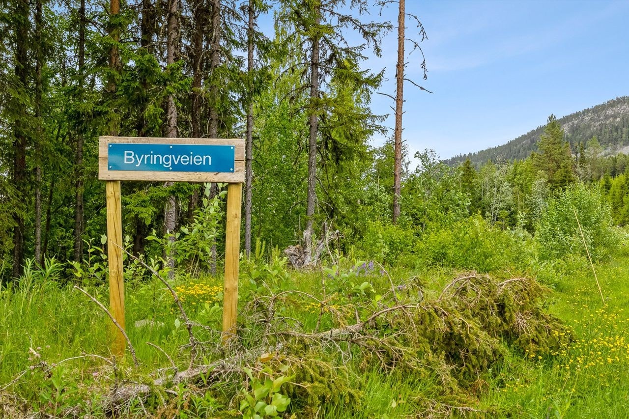 Flott beliggenhet ved Byringveien, omringet av naturskjønn skog og fjell. Perfekt for naturelskere og friluftsaktiviteter året rundt. Galleribilde